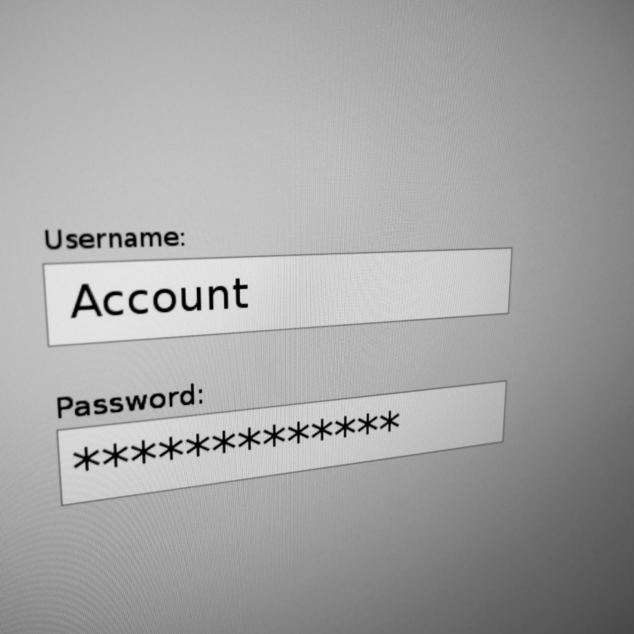 Password generator